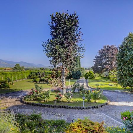 Villa Luce-Casa Vacanza Con Vista Panoramica Mare. Velletri Dış mekan fotoğraf